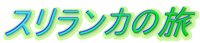 �X�������J�̗�