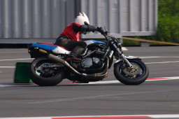 img0018.jpg