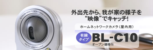 Oo悩AƂ̗lqgfhŃLb`Iz[lbg[NJipjL^CvBL-C10@I[vi
